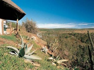 Bushmans River Lodge