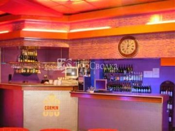 Hotel Carmen Pitesti 3*