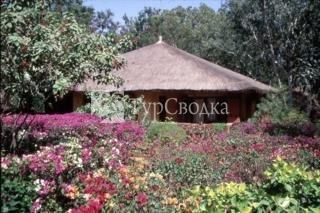 Bougainvillees Resort Saly 3*