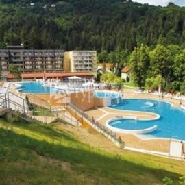 Hotel Vesna Topolsica 3*