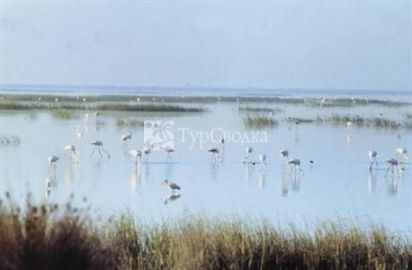 Vime Tierra Mar Golf 4*