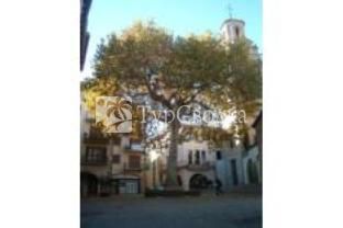 Hotel Torres Arbucies 3*