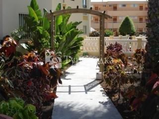 Apartamentos Los Ficus Gran Canaria 2*