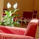 Hostal Plaza Mayor 3*