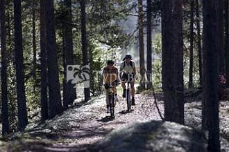 Langbergets Sporthotell Torsby 3*