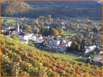Minotel Le Cedre Hotel Bex 4*