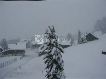 Hotel Viktoria Gsteig bei Gstaad 3*