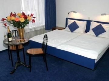 Hotel Alpina Lucerne 3*