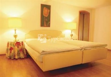 Minotel Weisses Rossli Hotel Rorschach 2*