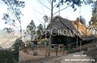 MamboViewPoint Lodge 2*