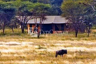 Lemala Ndutu Tented Camp Serengeti 2*