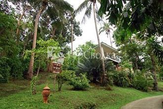 Bay View Resort Phi Phi Island Hotel 2*