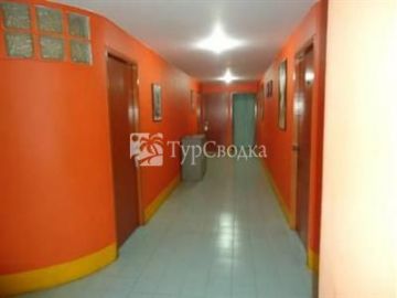 Kangaroo Guest House 2*