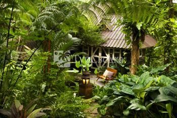 Rain Forest Resort 3*