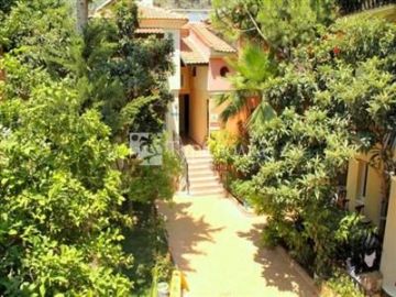 Magic Tulip Beach Hotel 3*