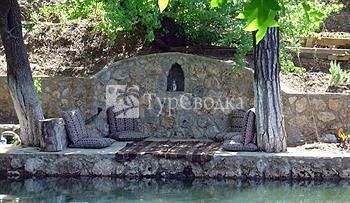Dalya Life 3*
