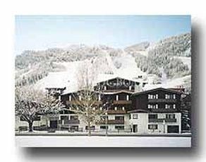 Mountain Chalet Aspen 3*