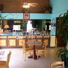 Tropical Inn 1*