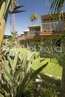 Best Western Pine Tree Motel Chino 2*
