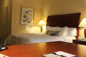 Hilton Garden Inn Conway 3*