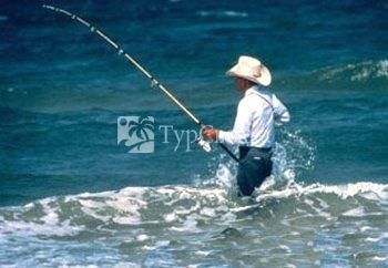 Best Western Garden Inn Corpus Christi 2*
