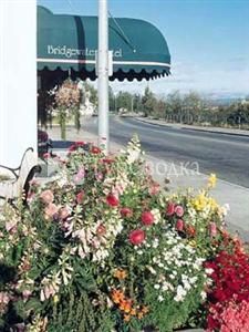 Bridgewater Hotel 3*