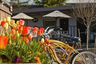 Earthbox Motel & Spa 1*
