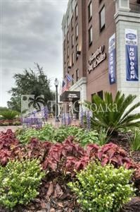 Hampton Inn & Suites Gainesville-Downtown 3*