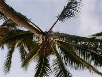 Diamond Head Beach Hotel 2*