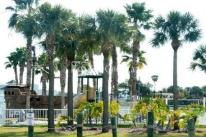 Holiday Inn Hotel & Suites Indian Rocks Beach/Clearwater 3*
