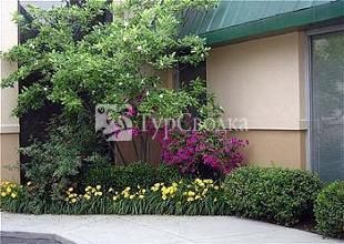 Fern Valley Hotel and Conference Center 3*