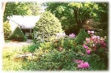 Naomi Village Cottages Resort 3*
