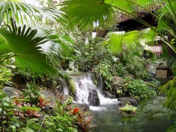 Disney`s Polynesian Resort 4*