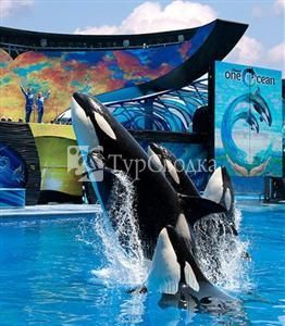 SpringHill Suites Orlando at Seaworld 3*