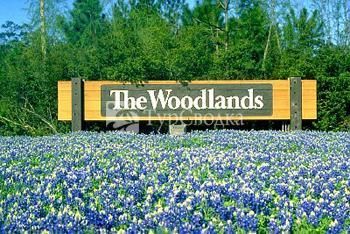 BEST WESTERN The Woodlands 3*