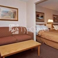 Comfort Suites at Tucson Mall 2*
