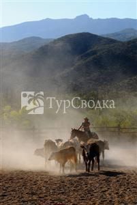 Tanque Verde Ranch Resort Tucson 4*