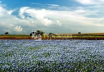 Residence Inn Tyler 3*