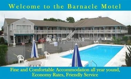 Barnacle Motel 3*